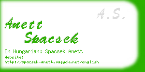 anett spacsek business card